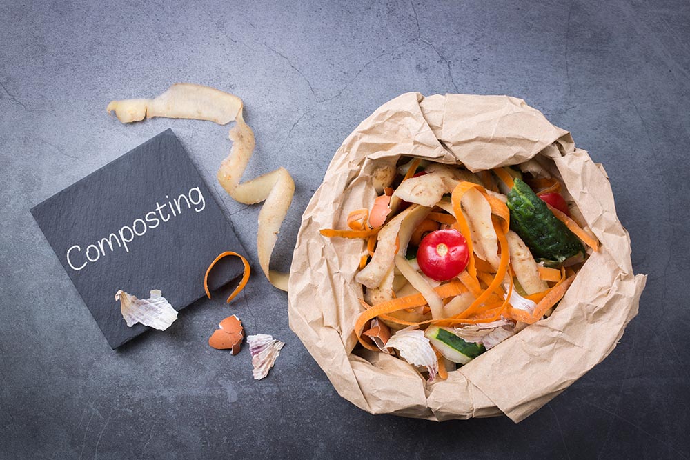 How Long Does Composting Take? Which Method is Easiest? What Does Compost Look Like?