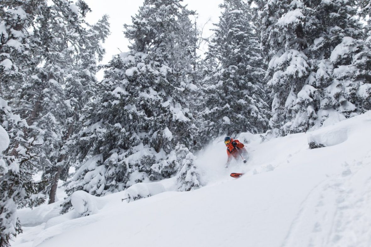 Why's it called skiing? What's the main types? Is it hard to learn?